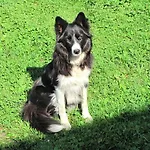 Libiseller Anita Unterhub Farm stay Taxenbach
