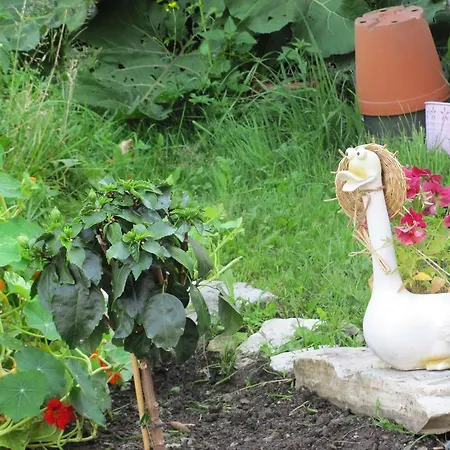 Libiseller Anita Unterhub مزرعة للإقامة *