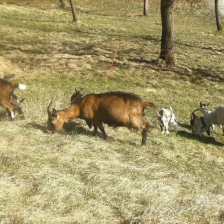 Vakantieboerderij Libiseller Anita Biobauernhof Unterhub