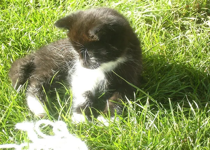 Libiseller Anita Unterhub Farmház