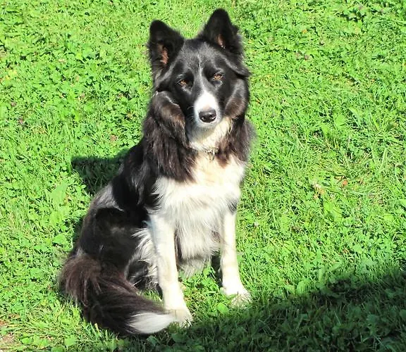 Libiseller Anita Unterhub Farmház Taxenbach