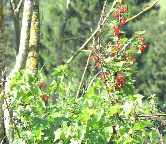 Farmház Libiseller Anita Unterhub *