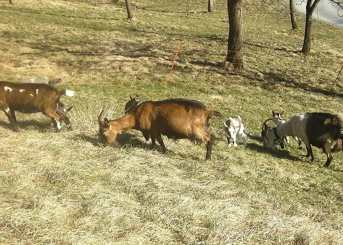 Farmház Libiseller Anita Unterhub